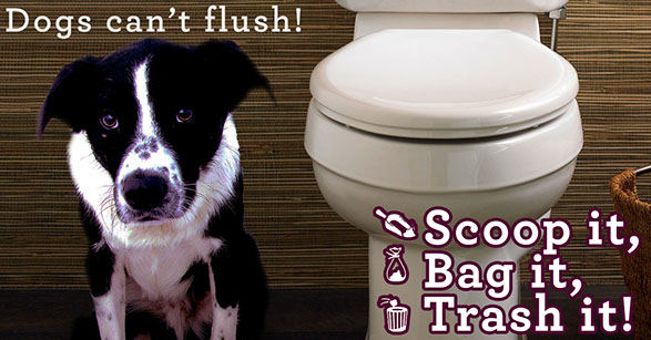 Pet Waste Ad - Dogs can't flush! Scoop it, Bag it, Trash it!