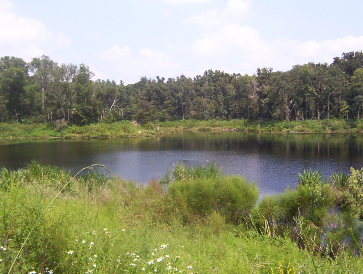 Alachua Sink