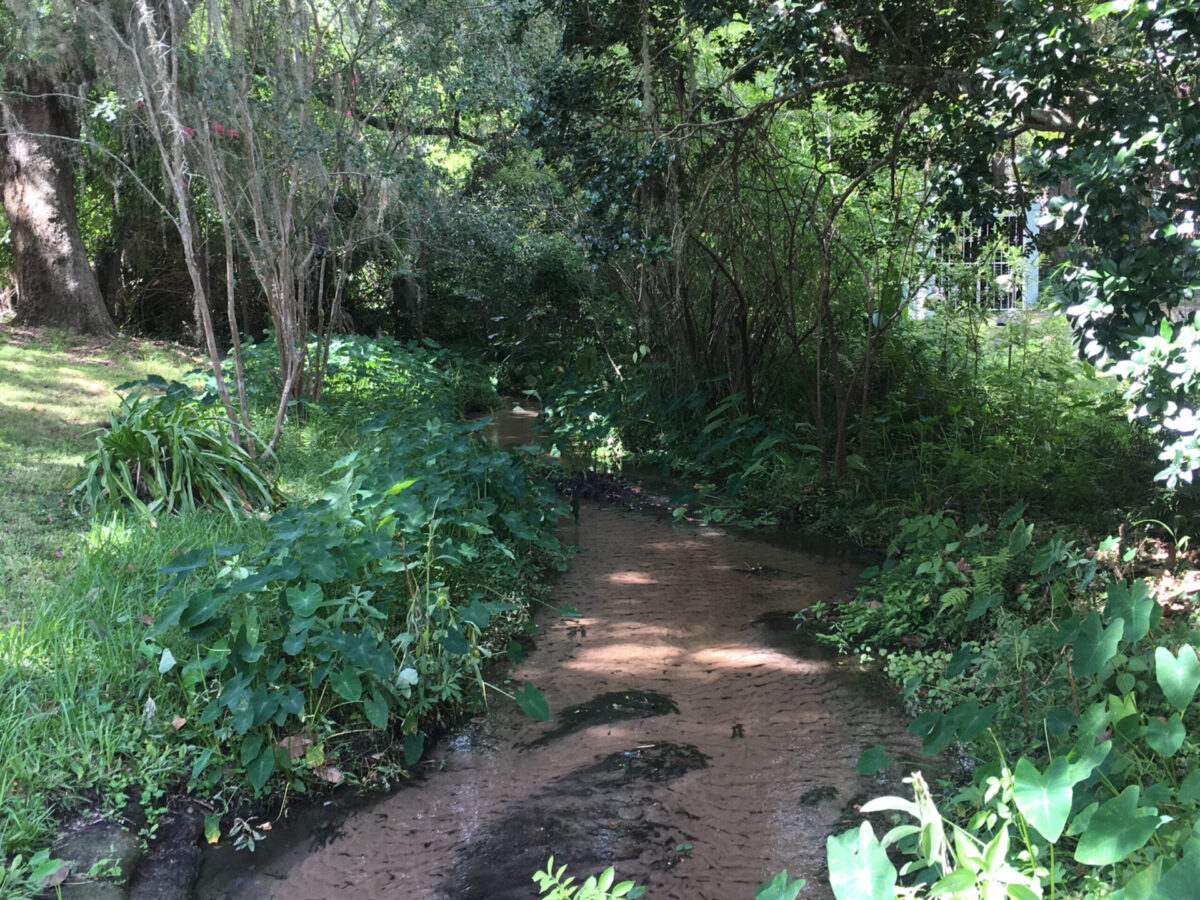 Boulware Springs