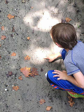 Child Draws in Sand