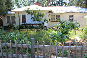 Florida Friendly Lawn