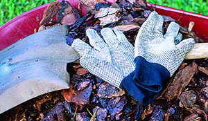 Mulch in Wheelbarrow with Gloves and Shovel