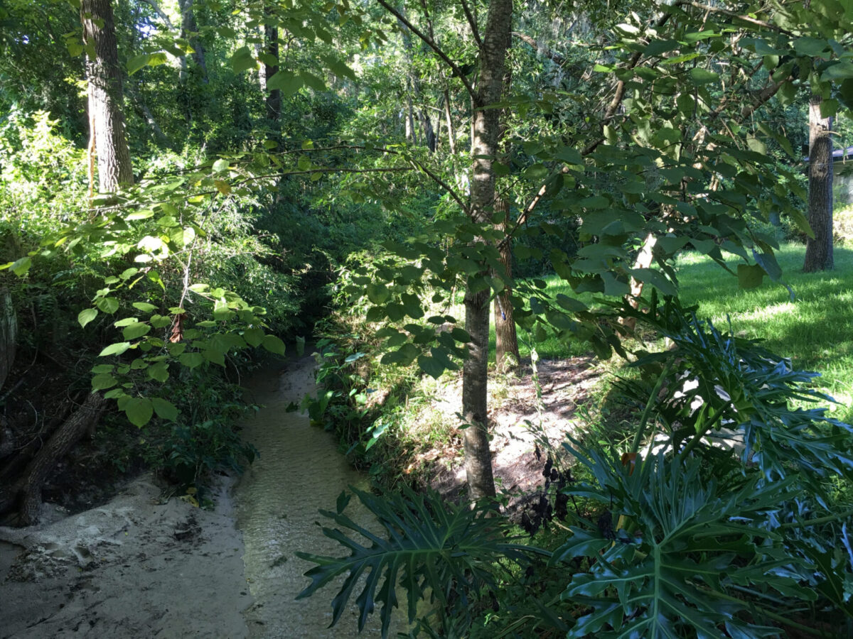 Three Lakes sandy bottomed waterway cuts through heavily wooded forests.