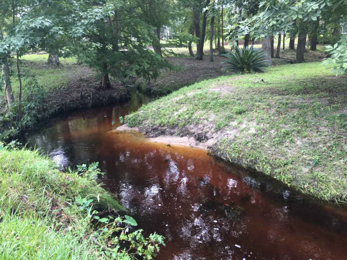 The tea-colored waters of Turkey Creek bends around a grass covered sand bank lined with various types of trees.