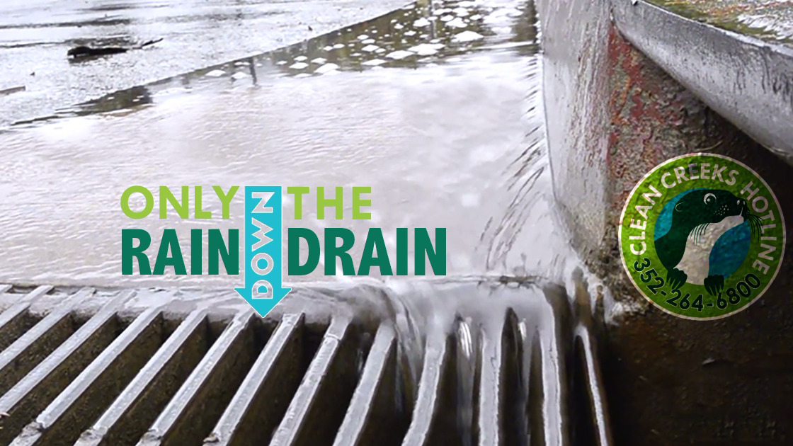 Only Rain Down the Drain 