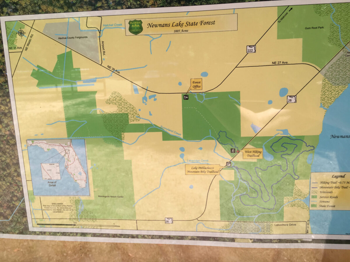 Map of Newnans Lake State Forest - 1005 Acres