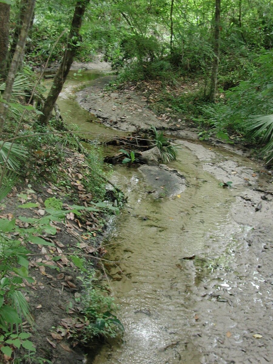 Quail Ridge Creek