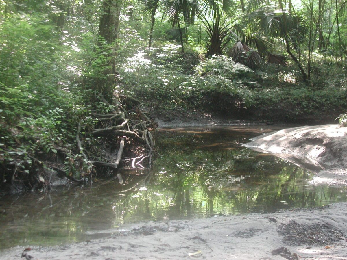 Rattlesnake Creek