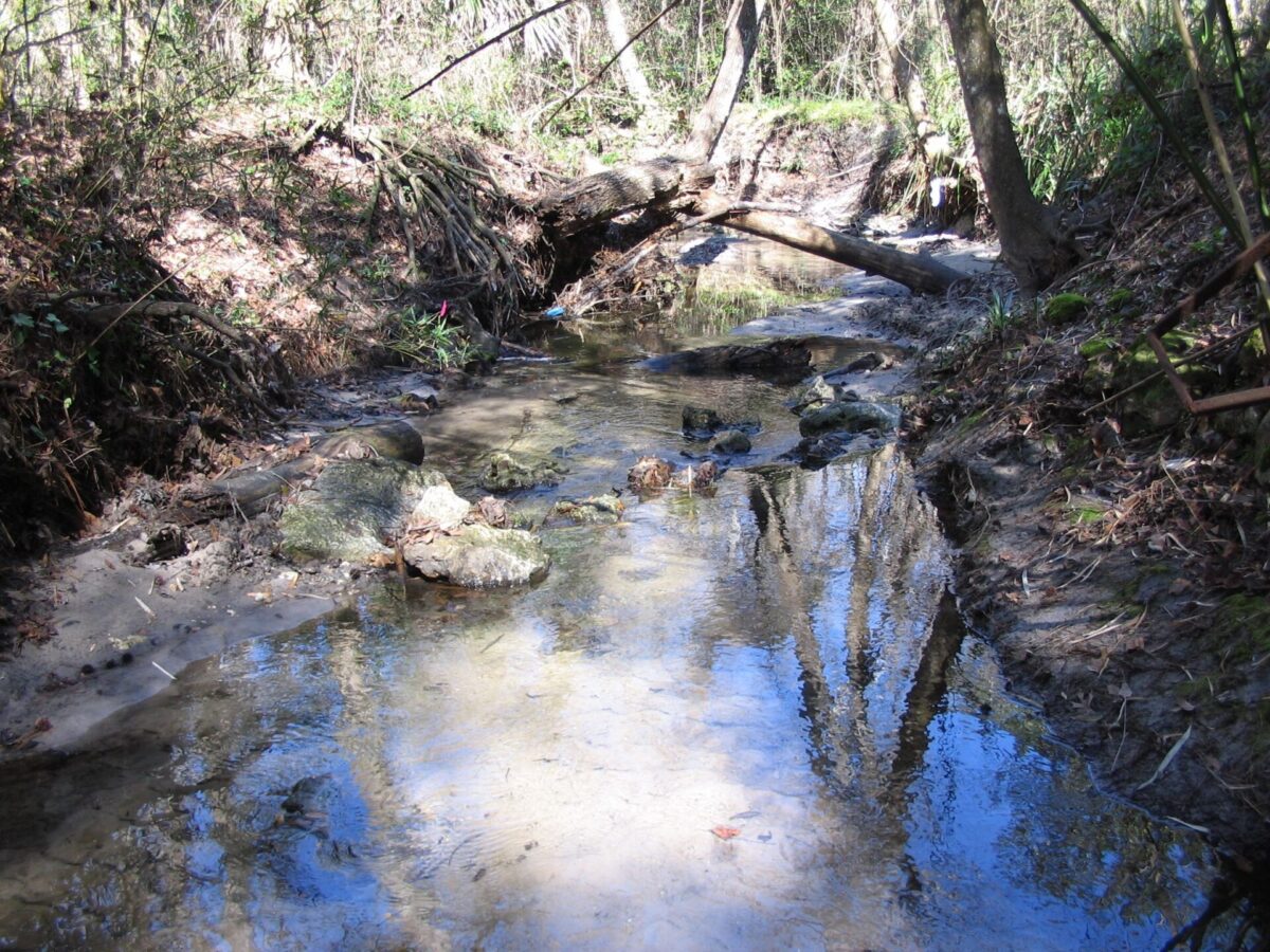 Rattlesnake Creek