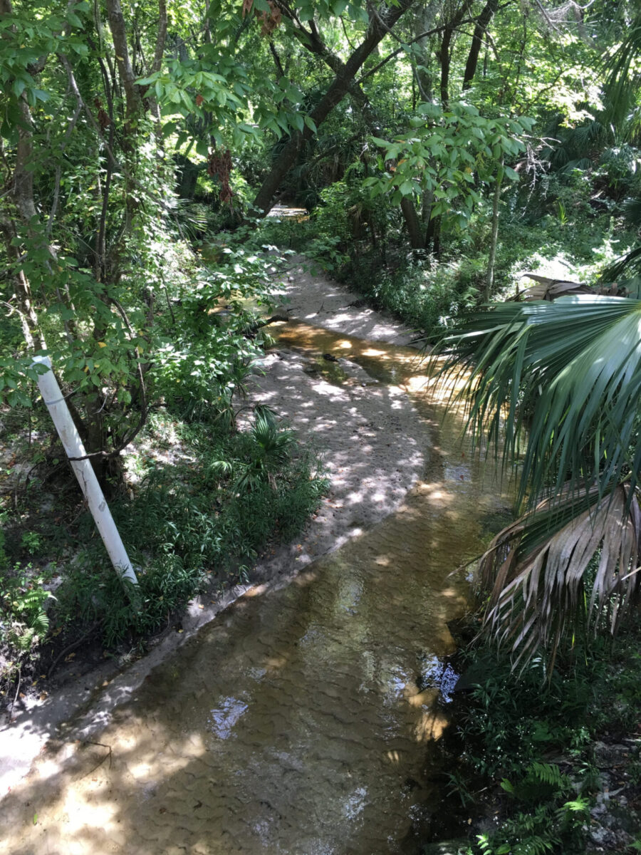 Sweetwater's sand-bottomed waterway bends through dense vegetation.