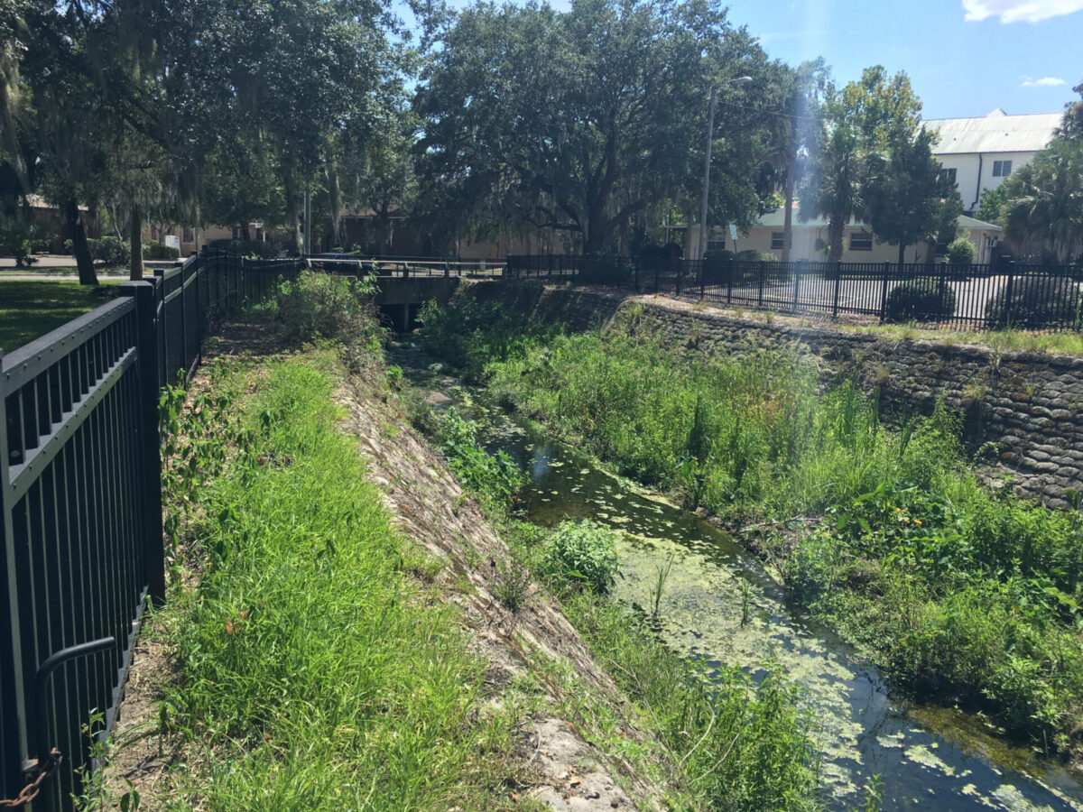 Sweetwater waterway cuts through a stone-lined ditch with a black fence barrier on top. Vegetation and algae can be seen growing in the waters and on the shores. Oak trees and buildings can be seen in the background.