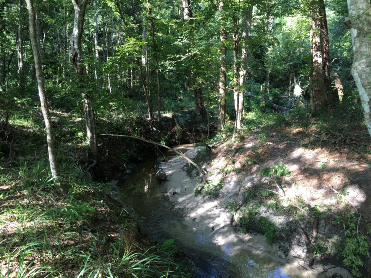 A sandy-banked-waterway cuts through a densely wooded area.