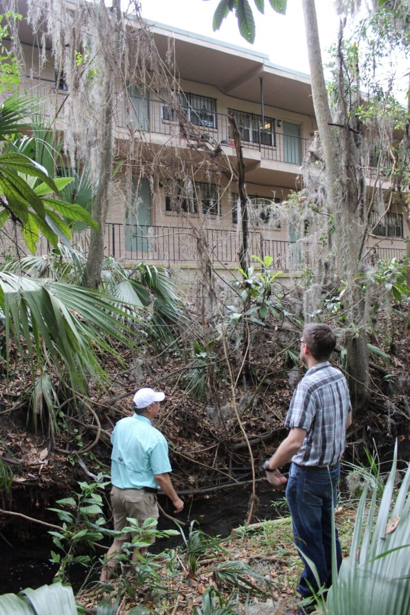 Two men are making observations of a vine covered area surrounded by palms behind a pink multi-level apartment or motel.