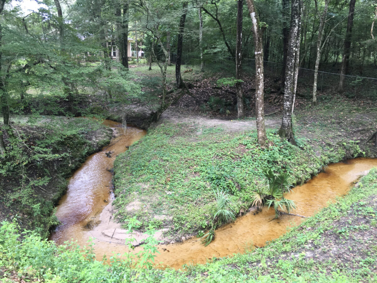A shallow section of Turkey Creek flows in a horseshoe shape over a sandy bottom through a wooded area behind a private residence.